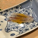 すし人　酒伊 - 活いか