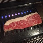 馬肉専門店 春馬 - 