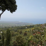 The Coffee Shack - 景観