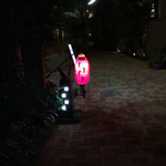 おいしい料理とお酒 ぼちぼち - 南青山の裏路地に浮かぶ赤提灯