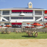 カフェ・スコーラ - 廃校となった小学校を利用しているので、外観は小学校の姿を残したまま