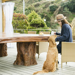 カフェ・スコーラ - ペットとお食事ができるテラス席も完備。冬場はストーブを備えています。