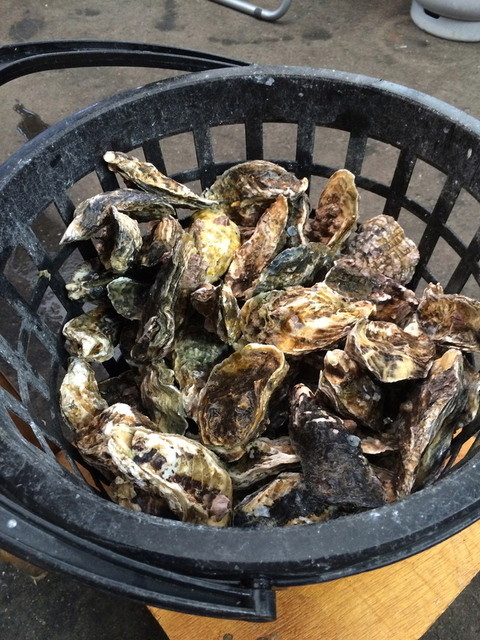 蒸し牡蠣食べ放題が美味しい By Faアッコ 漁協食堂うずしお 鳴門 定食 食堂 食べログ