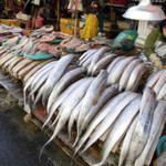 Jagalchi Market - 