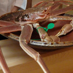 松川 - 横顔も素敵。