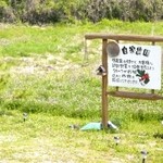 ダイニング和香葉 - 