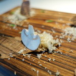 クラフタル - ホタテの木 ～クルミの香り～