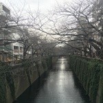 クラフタル - お店は、目黒川沿い！桜の季節が、楽しみです♪