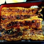 6回目　2016年1月30日　鰻重2620円