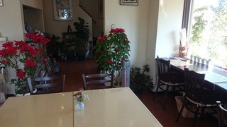 Garden cafe eucalitto - 店内
