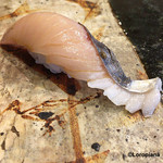 小判寿司 - 鳴門海峡の釣り活け〆の鰆