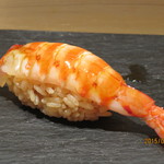 鮨 なかや - 車海老半生