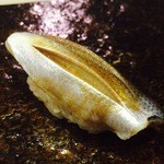 鮨 ほしやま - 小肌♡〆