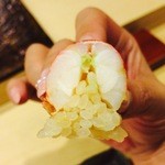 鮨 ほしやま - とっても大きな車海老なんですよ(^^♪