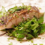 魚菜料理 縄屋 - 黒ムツの焼物