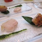 サーラ アマービレ - 高坂鶏