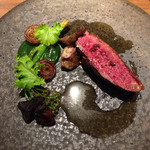 スブリム - 再び登場の鴨