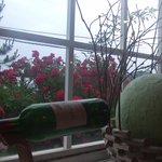 綺羅々亭 - 店内明るい時間帯