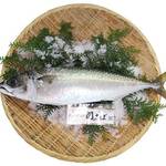 ■關青花魚的預約受理中♪ (時價) 6,800日元~