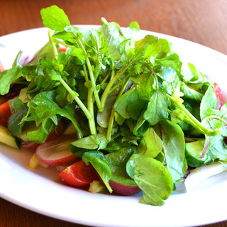 オステリア・ベッカフィーコ_1