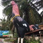 Krua Tungtong - この鳥が目印