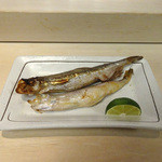 鮨でですけ - 本ししゃも：上が♂・下が♀