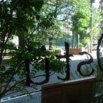 Ostu - 店内から公園をガラス越しに♪