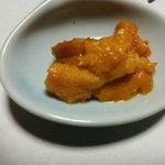 みかんの木 - 雲丹です。