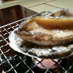 みかんの木 - 身をくねらせる鮑