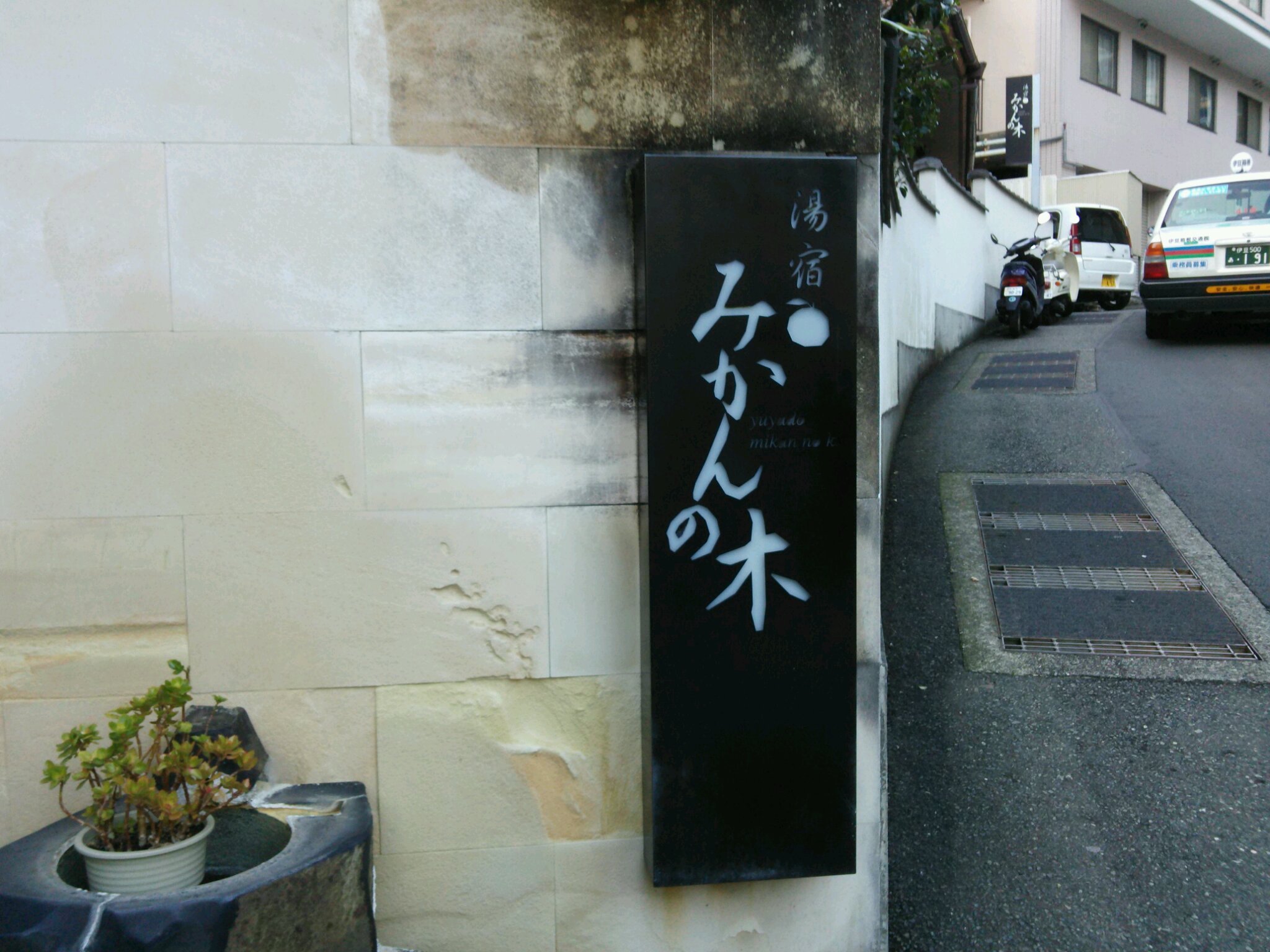 みかんの木 name=
