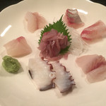一品料理六一 - お造り シマアジ、鯛、生鮹、コノシロなど