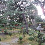 竹情荘 - お庭(2016.01)