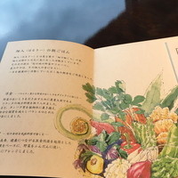 星のや竹富島 ダイニング - テーブルセットにありまして