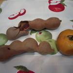 Fruit Court - 各種フルーツ