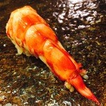 鮨 ほしやま - 車海老♡（尾）