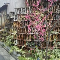 みかわ 是山居 - 