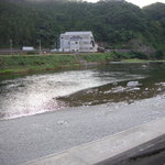 ２年連続清流日本一！高津川です１