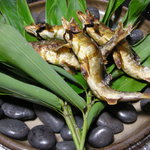 美加登家 - 鮎塩焼き（一人前は２匹です）