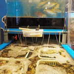 磯丸水産 - 水槽には貝やお魚がたくさん！