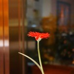 レストラン サンパウ - 