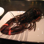 博多鉄板 じゅん - 