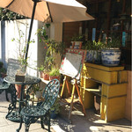 いちょうの木 - 