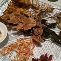 カントニーズ 燕 - 