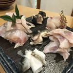 馬場乃町 はやし - 虎河豚の各部位が 美しい( ˊᵕˋ* )