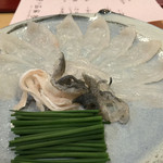 馬場乃町 はやし - 愛知県産天然虎河豚の刺身♡