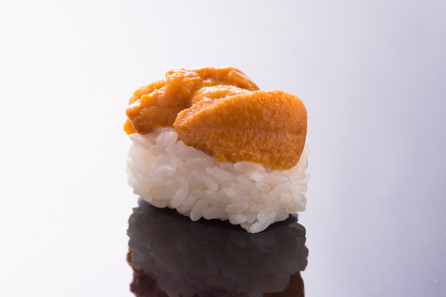 魚真 うおまさ 小樽 寿司 食べログ