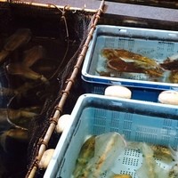 稚加榮 本店 - 