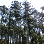 カフェくるりぱん - 2016.2