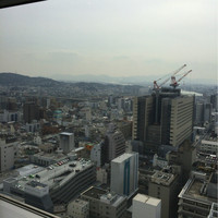 Restaurant SORA - 