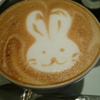 メルジェリーナ - 